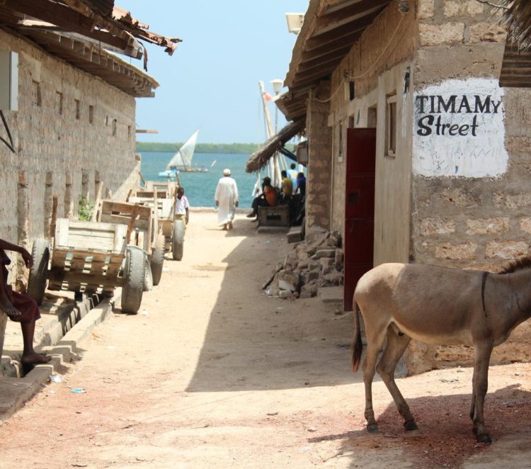 LAMU 489