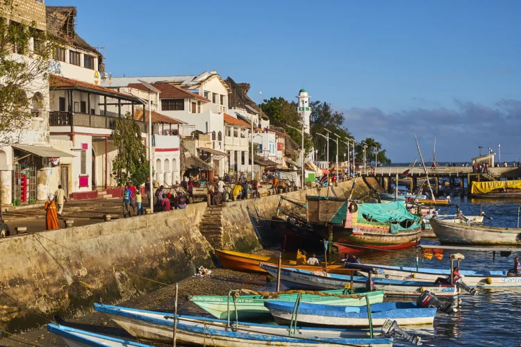 LAMU14